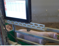 Monitorlösung für Stallanlagen